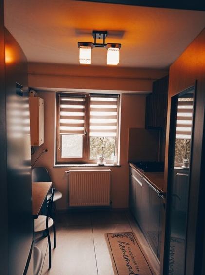 2 camere Banat, Decomanddat / mobilat / utilat , liber / PARCARE ! - 18