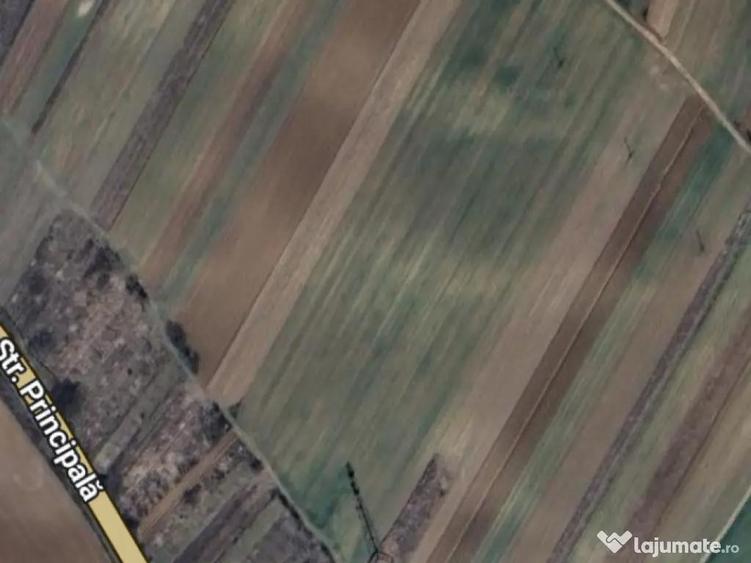 Teren 11000 mp la Dn6 zona Cosoveni - 1