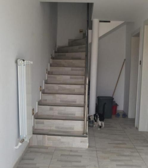 Vila P+1 Mihailesti - 8