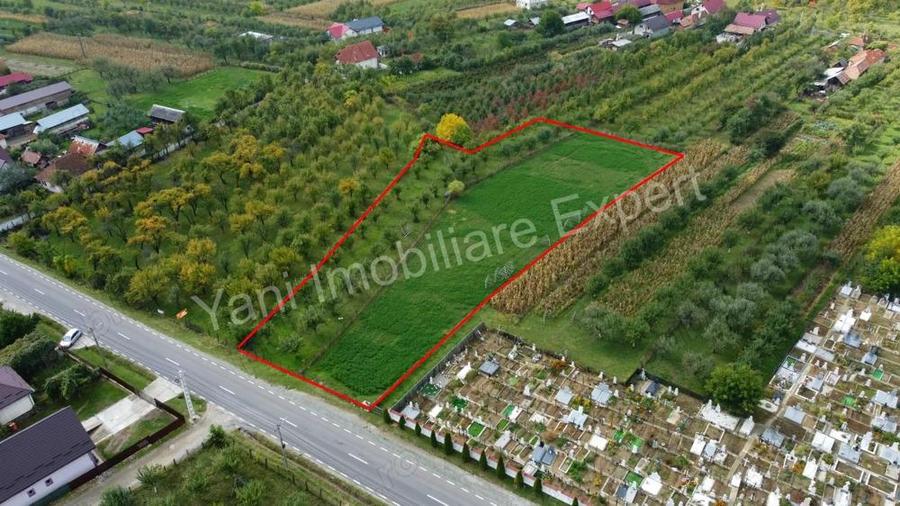 Teren de vanzare in comuna Corbeni, sat Oe?tii Pamanteni, jude? Arge?. - 5