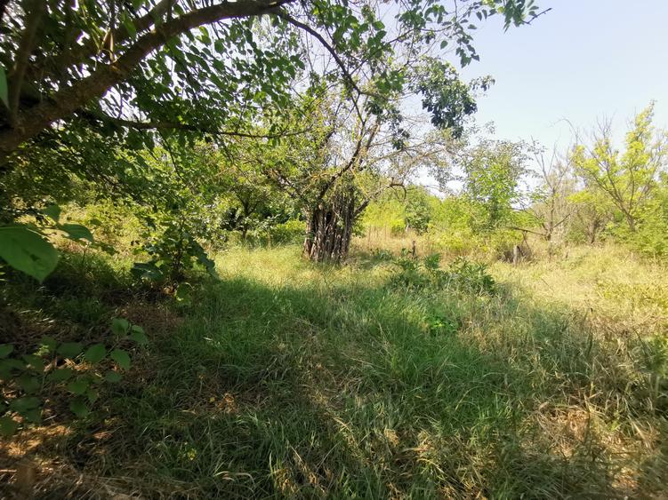 Casa batraneasca la Buzeni - 7