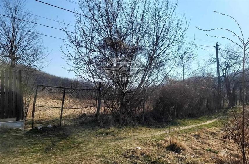 TEREN GURA VITIOAREI - 4