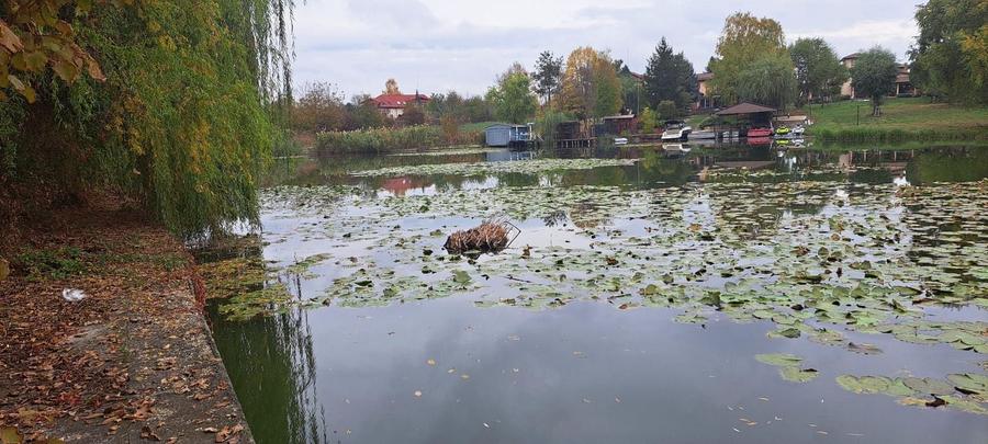 OAZA DE LINISTE SI RAFINAMENT LA MALUL LACULUI - 2