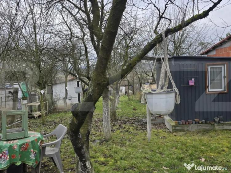 Teren intravilan - livada si vie- 20 ari - Viile SATU MARE - 5