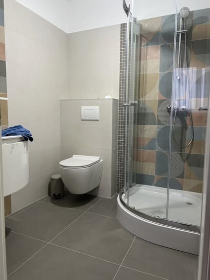 Duplex, 4 camere, 290mp teren, 125mp utili, curent trifazic -  Sacalaz - 14