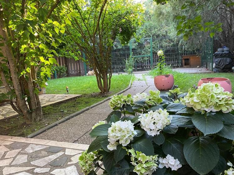 Vila 8 camere | padurea Baneasa | teren 383 mp - 21