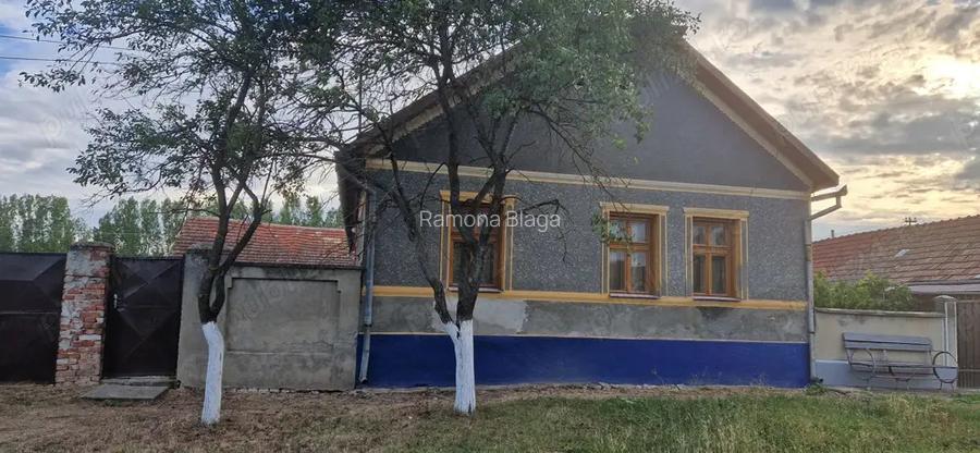 Vand casa cu gradina Vand casa cu gradina