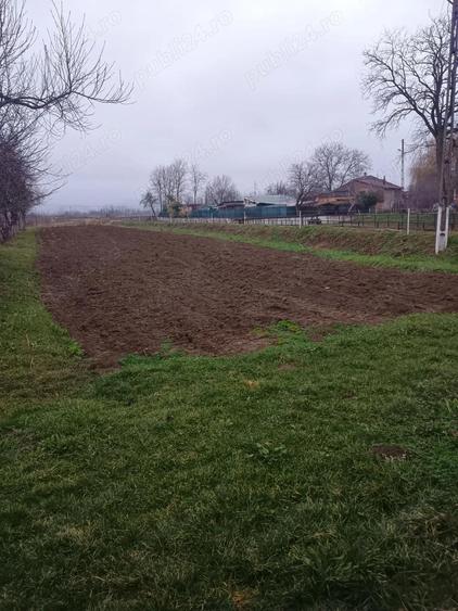 Vand casa in comuna Gurasada, sat Gothatea - 6