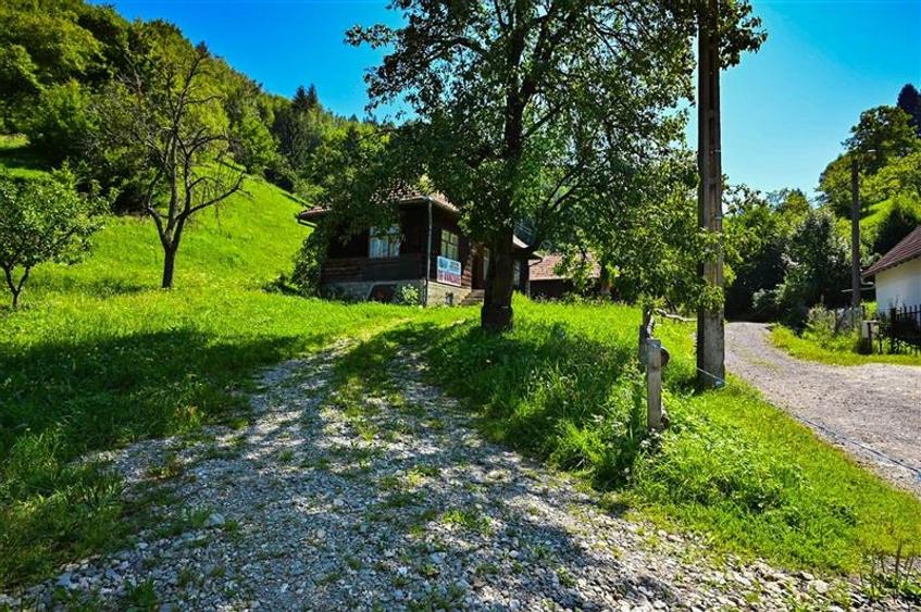 FILM! Proprietate autentica, Bran-Simon, 4.300 mp teren, casa traditionala + ane - 7