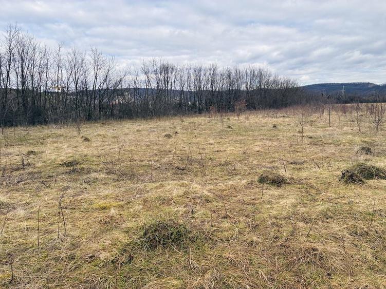 Vand/ Variante Teren intravilan in Hateg,langa Baraj , Prislop - 1