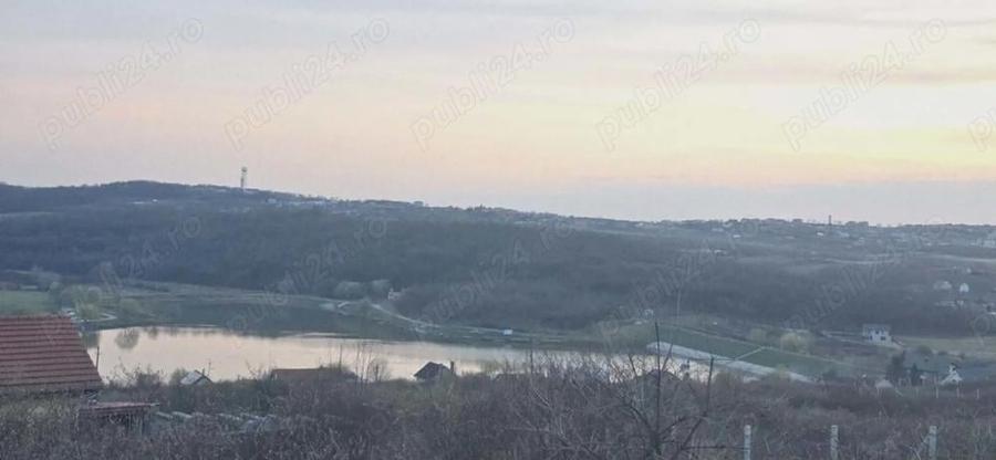 Teren de vanzare, loc. Paleu - 6