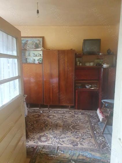 Case la tara si teren de 13.000 mp - 1