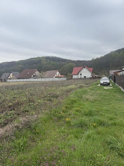 Teren intravilan 500 mp, Bascov - 1