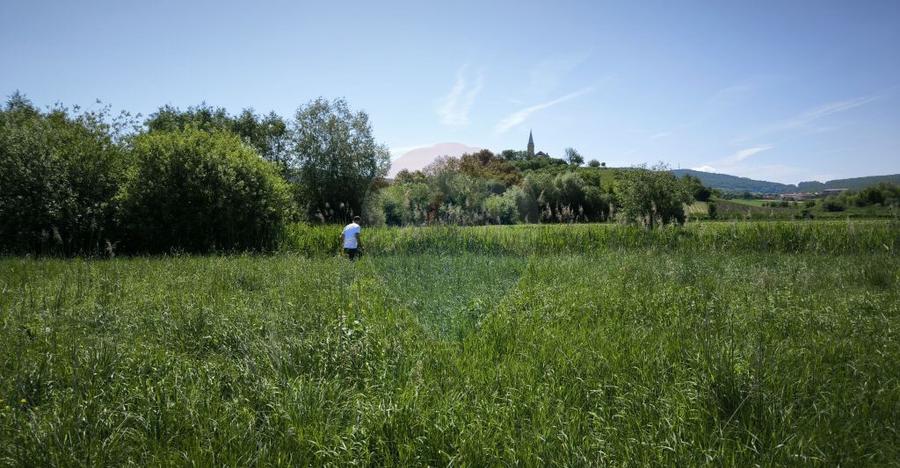 Teren de vanzare Blajel, jud. Sibiu | 15.360 mp - p... - 12