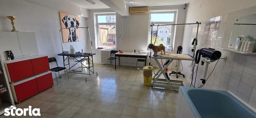 Vanzare imobil D+P+2+M Sebastian LIDL ideal clinica/birouri/rezidenta - 1
