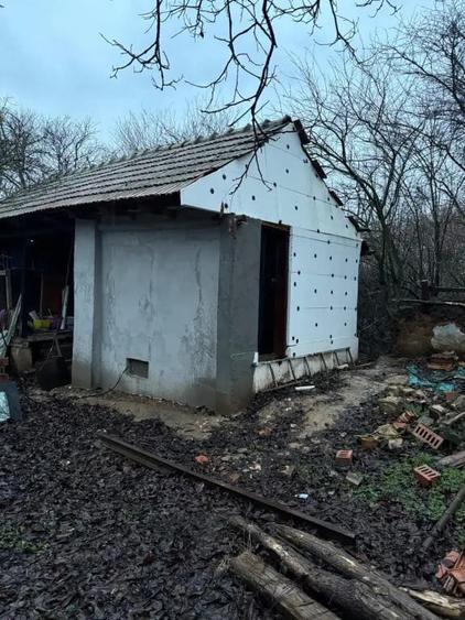 Casa de vanzare in satul Zlata, jud. Teleorman - 2
