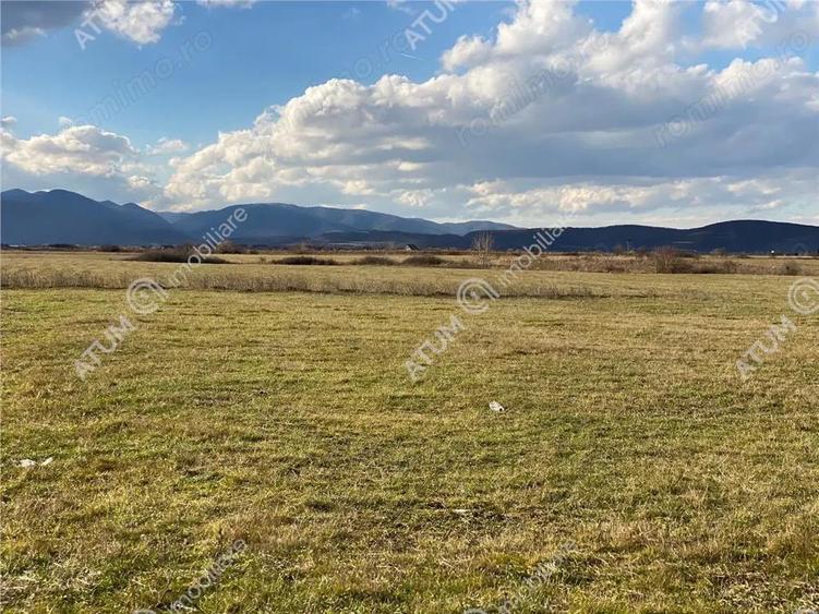 Teren de vanzare 564 mp in Sibiu pretabil investitie - 5