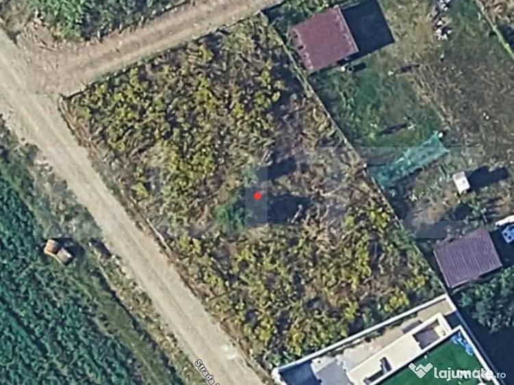 Teren INTRAVILAN ZAVOAIE Pozitie Excelenta - 1