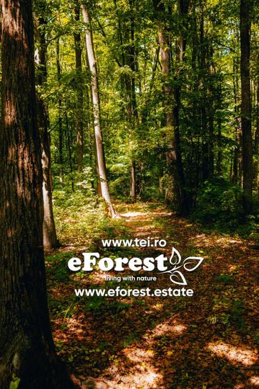  Profită acum de oferta de Paște! Teren premium in cartier rezidential eForest,  - 1