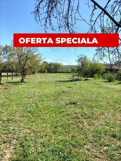 Teren intravilan de vanzare in Berevoiesti, Arges - 2542 mp -raul Bratia! Teren intravilan de vanzare in Berevoiesti, Arges - 2542 mp -raul Bratia!