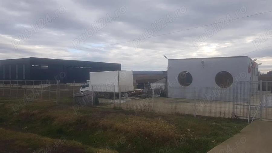 Hala spre inchiriere! - 3