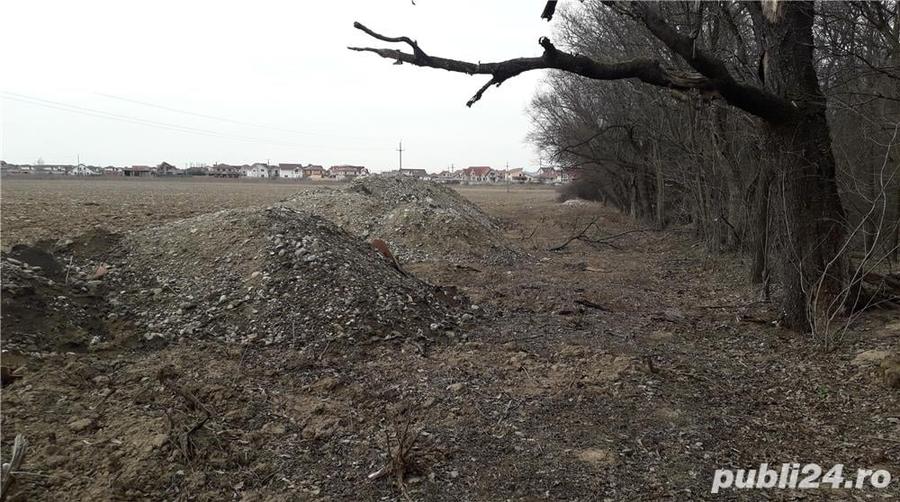Teren de 1000 mp, în Băile Felix