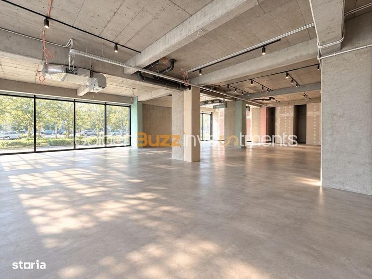 Spațiu comercial, de 370 mp, în Herăstrău