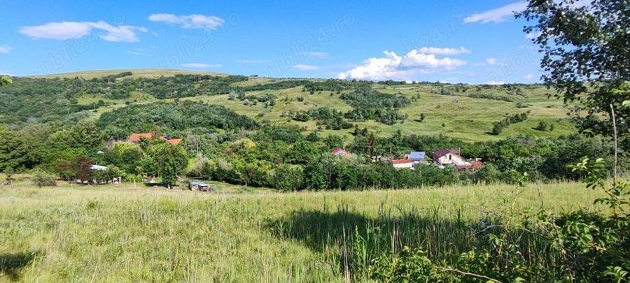Teren de 5000 mp, în Boboci