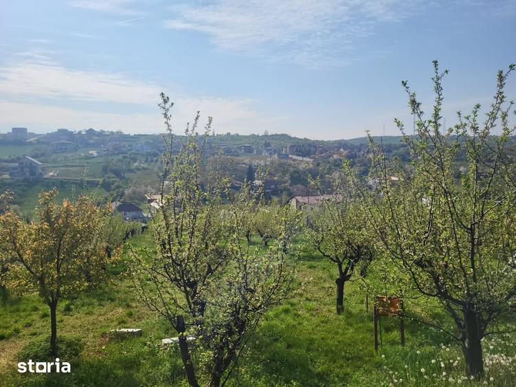 Teren de 3405 mp, în Spitalul Județean