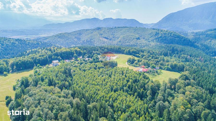 Teren de 7083 mp, în Poiana Mărului