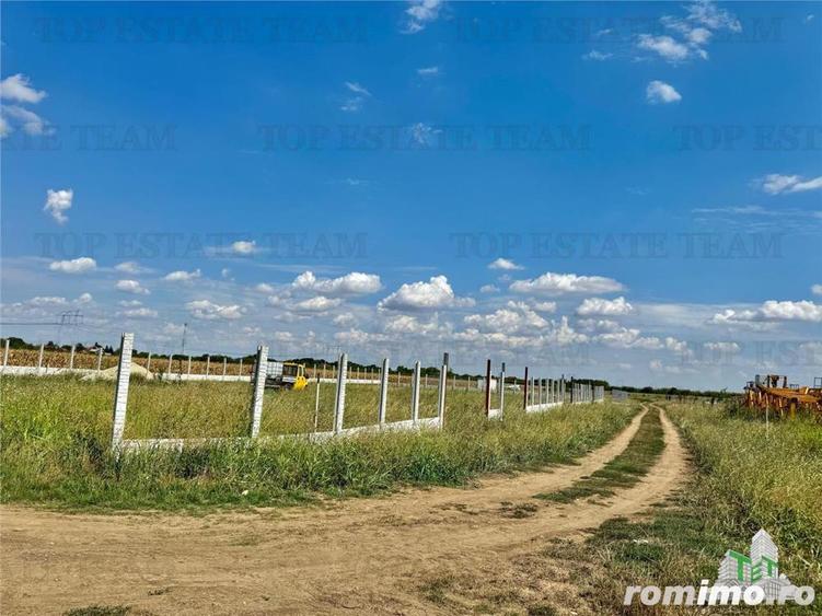 Oferta speciala Teren de vanzare 500 mp in Frumusani - 5