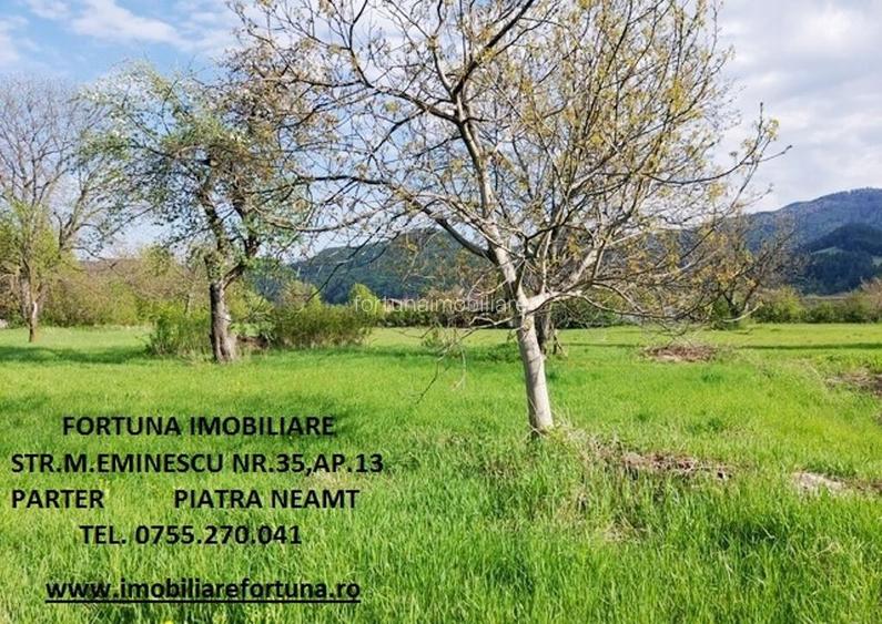 Teren intravilan 1480 mp, Alexandru cel Bun