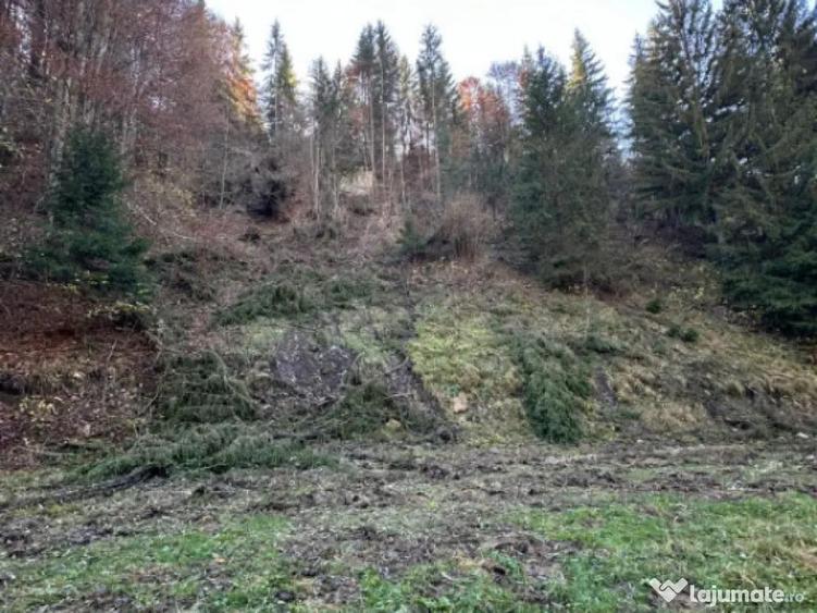 Teren 2.882 mp oportunitate investitie - Cheile Dambovi - 7