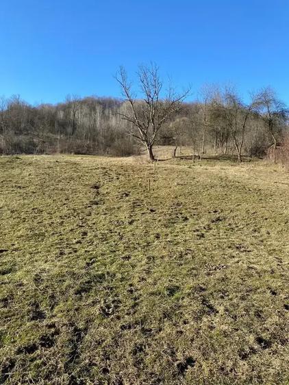 TEREN DE VANZARE -SULTANU,VISINESTI - 5