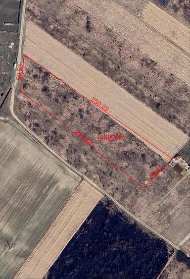 Teren intravilan parcelabil - Pausa comuna Nojorid - IMOBIHOR - 6