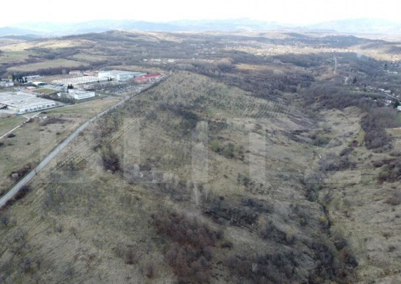 Teren Extravilan Valenii de Munte 11931 mp - 4