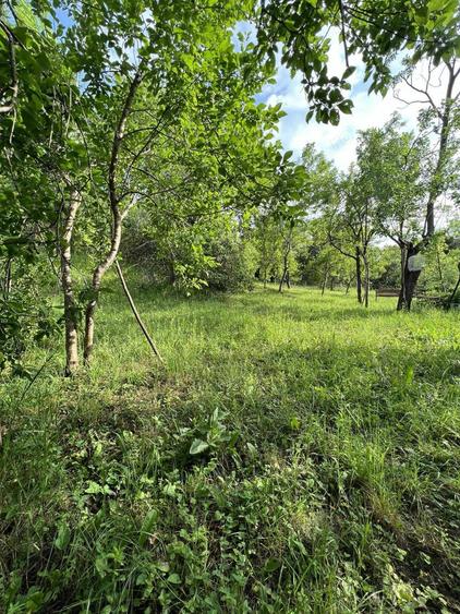 Casa de vacanta pe deal, D+P+M cu 8400 mp, teren - 7