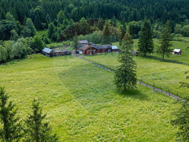 Ferma de vanzare, teren 21436 mp intravilan, Cosnea, Agas - 13