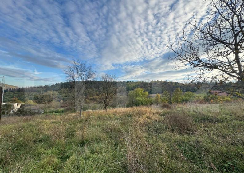 Teren intravila, 1466mp in comuna Bejan - 4