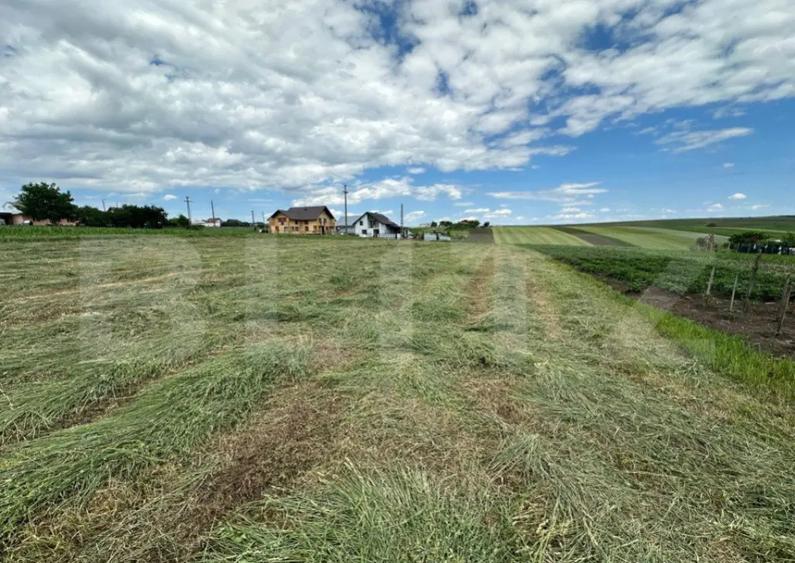 Ocazie, teren intravilan + casa batraneasca , zona Moara Car - 3