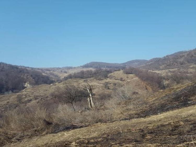 Teren de vinzare. In satul Rusavatul. - 1