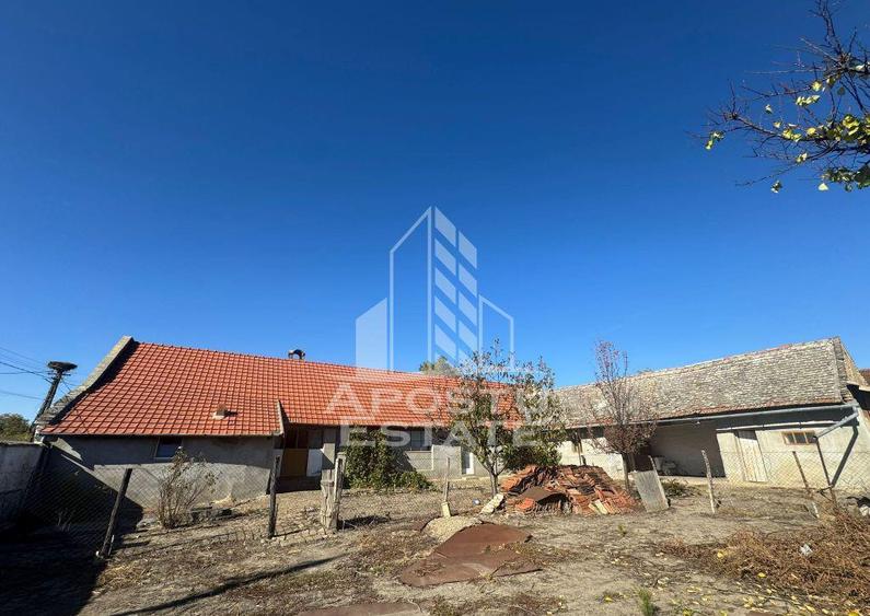 Casa cu teren de 1.600 mp in Checea langa primarie. - 2