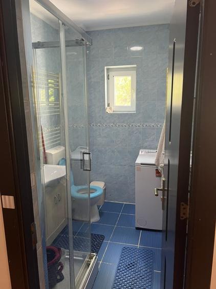 Prelungirea Ferentari, Salaj - 4