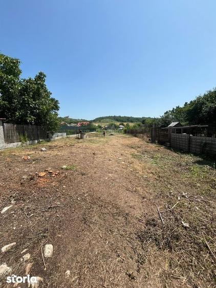 Vand teren com Curtisoara jud Olt intravilan - 1