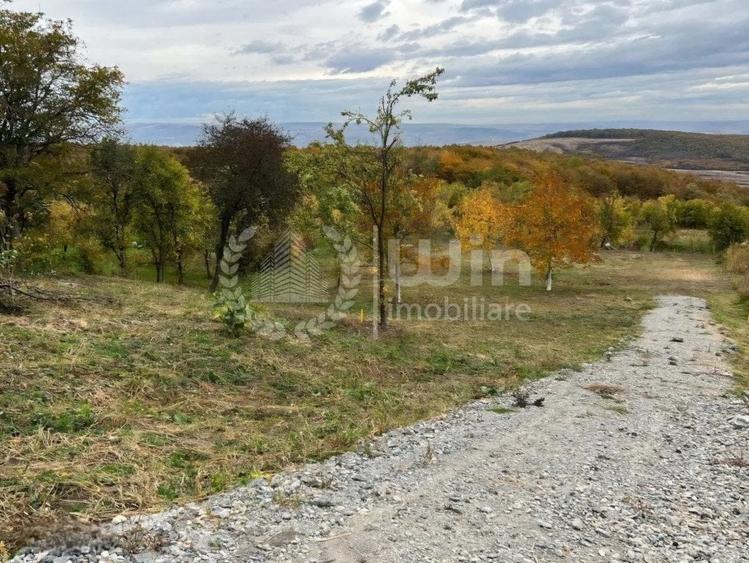 Teren intravilan 3744mp ideal pentru casa/duplex in Sat Gheorghieni! - 2