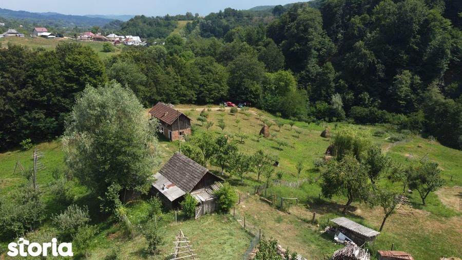 Teren de vanzare in comuna Cicane?ti, sat Bara?ti, Judet Arges. - 14
