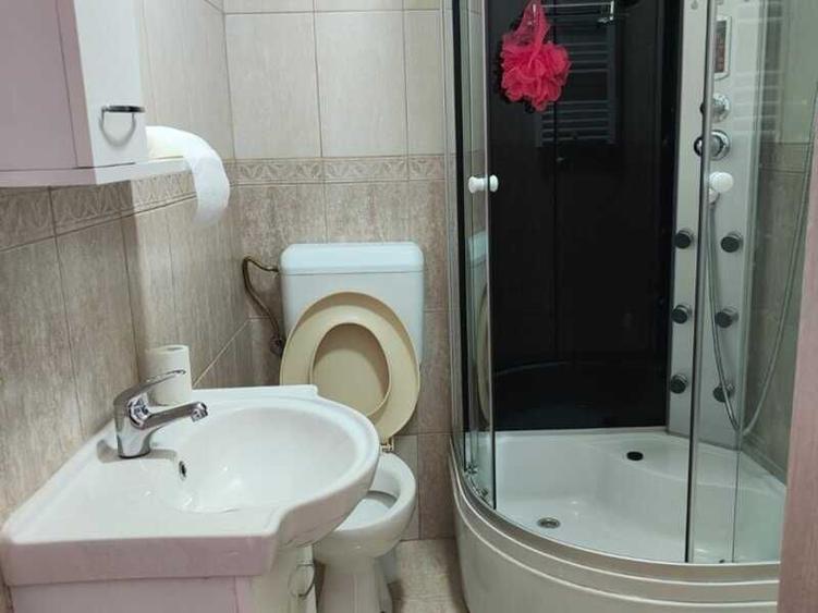 Inchiriere Casa curte Banu Manta , Titulescu - 16