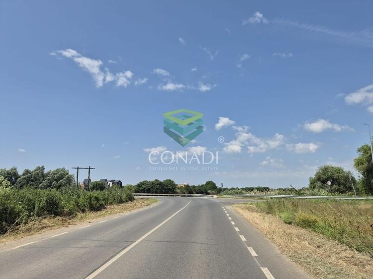 Teren - dezvoltare rezidentiala - Tunari 10.000 mp - 5