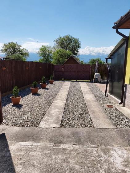 Casa cu gradina roditoare si teren 3000 m2 de vanzare Sacadate, Sibiu / House with Garden and 3000 m2 Land for Sale Sacadate, Sibiu - 5