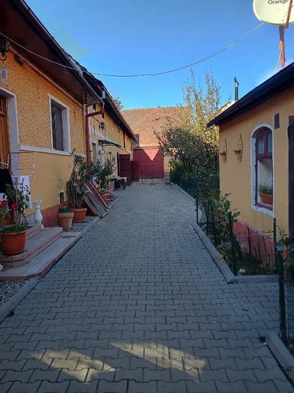 Proprietate deosebita cu teren generos - 9
